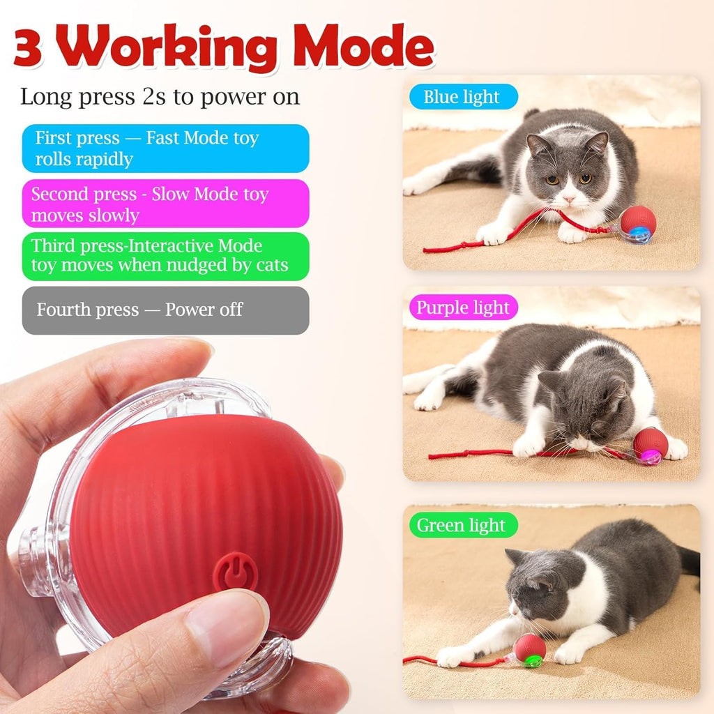 Interactive Electric Automatic Rolling Moving USB Rechargeable Self Activated Play Stimulation Toy Smart Chase Teaser Ball with Speedy Tail Rope for Bored Adult Indoor Cats and Dogs, Red
